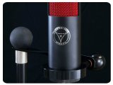 Audio Hardware : Crowley and Tripp announces Naked Eye Roswellite ribbon microphone. - pcmusic