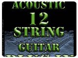 Instrument Virtuel : AudioWarrior Studio Acoustic 12-String Guitar Plugin - pcmusic