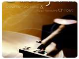 Instrument Virtuel : Ueberschall Chillers Joint - pcmusic