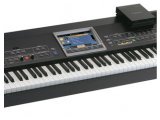 Music Hardware : Roland RK-300 Recreational Keyboard - pcmusic