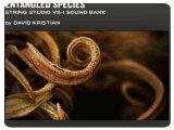Virtual Instrument : Applied Acoustics Systems unveils the Entangled Species Sound Bank for String Studio VS-1 - pcmusic