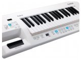 Music Hardware : Roland unveils Lucina AX-09 Shoulder Synthesizer - pcmusic