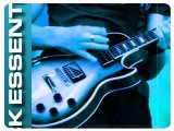 Instrument Virtuel : Groove Monkee prsente Rock Essentials 2 - pcmusic