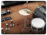 Instrument Virtuel : Fingerlab Annonce Rockmate - pcmusic