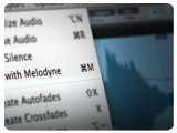 Music Software : Celemony Releases the ARA Development Environment - pcmusic