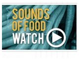 Virtual Instrument : IZotope Releases Food Free Sound library for Iris - pcmusic