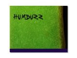 Instrument Virtuel : Detunized HumBuzz Live Pack - pcmusic