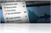 Music Software : Celemony Releases the ARA Development Environment - macmusic