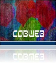 440network : Detunized releases Cobweb multi-format library - macmusic