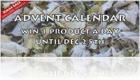 Virtual Instrument : AudioThing Christmas Sale and Advent Calendar Gifts - macmusic